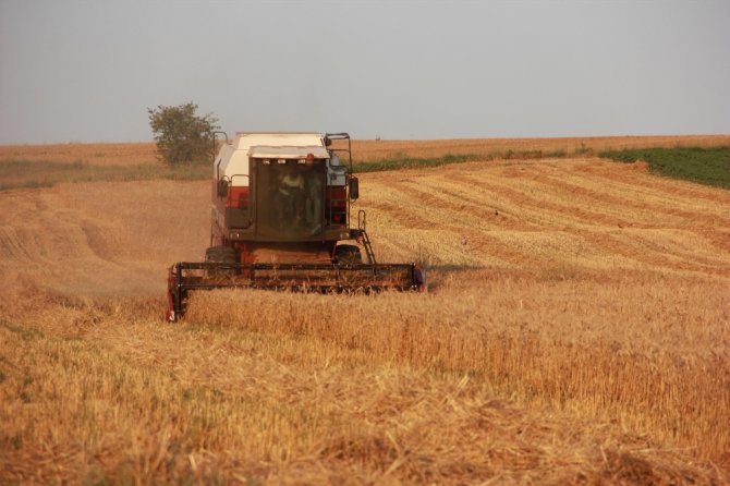 Çiftçilerin Buğday Hasadı Mesaisi Sürüyor