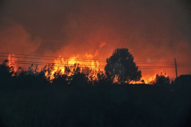 Datça’da Korkutan Yangın
