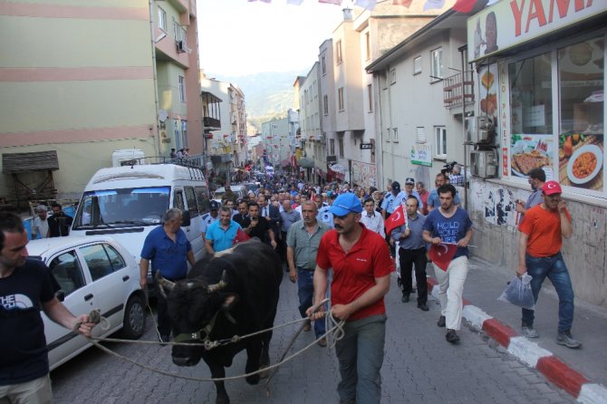 Kafkasör Festivali Boğalar Eşliğinde Yürüyüşle Başladı