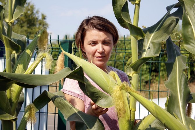 Bağımlı Gençlere İlaçsız Rehabilitasyon