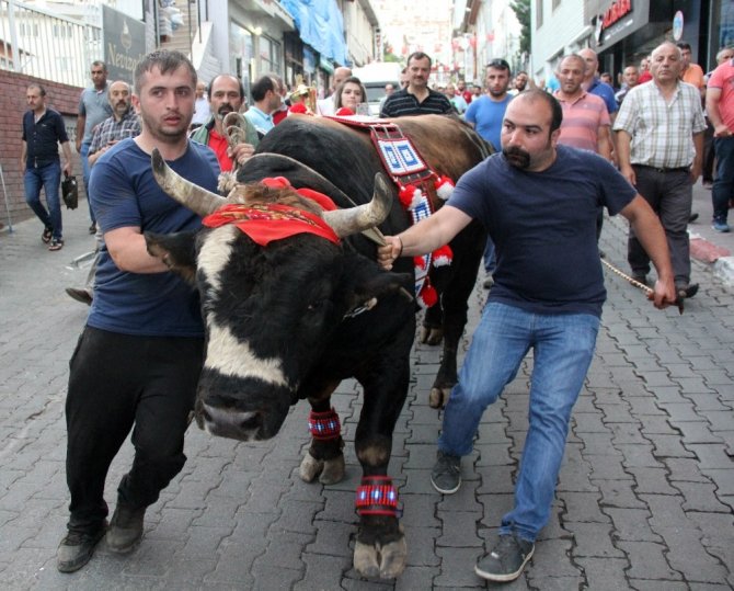Şampiyon Boğalardan Şehir Turu