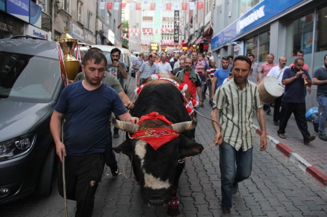 Şampiyon Boğalardan Şehir Turu