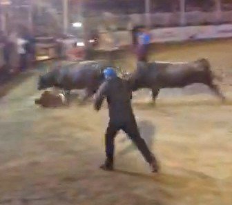 Rakibine Yenilen Boğa Kaçarken 1 Kişiyi Yaraladı