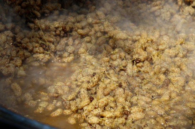 Şifa Kaynağı Dut Pekmezinin Zorlu Serüveni