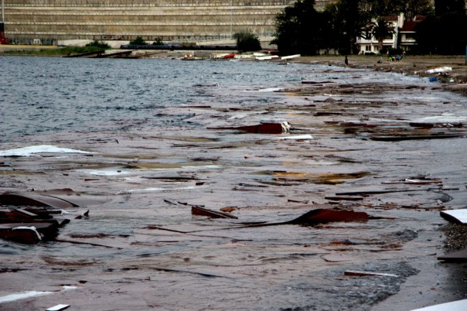 Bursa Sahilinde Çevre Felaketi