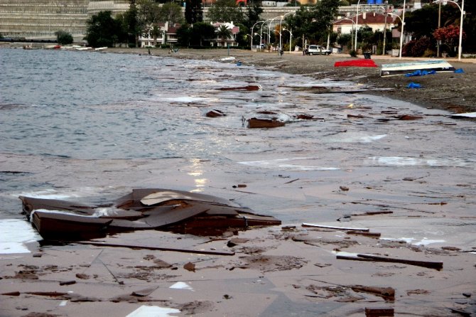 Bursa Sahilinde Çevre Felaketi
