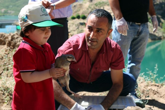 Doğaya Bin Keklik Bırakıldı