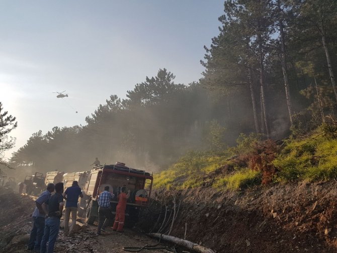 Bursa’da Orman Yangını: 5 Hektar Kül Oldu