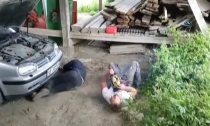 Eşek Şakası Böyle Bayılttı