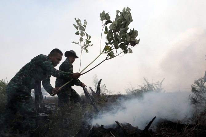 Orman Yangını Şehri Etkiledi Çok Sayıda Kişi Hastanelik Oldu