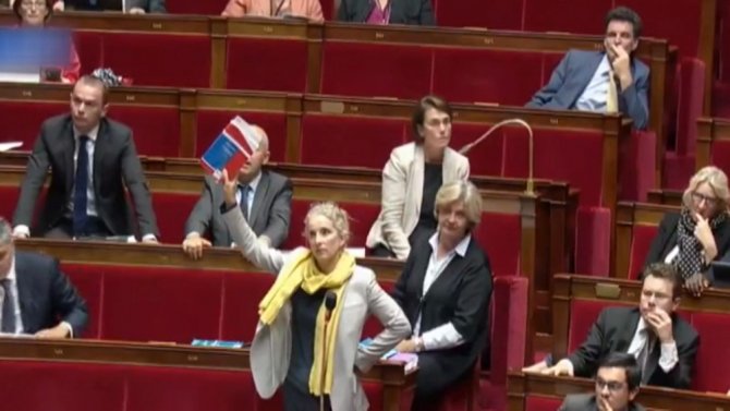 Fransa Meclisinde Yasa Tasarısı Tepkisi