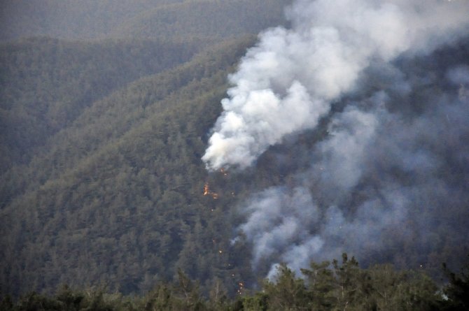 Hatay’da Orman Yangını Sürüyor