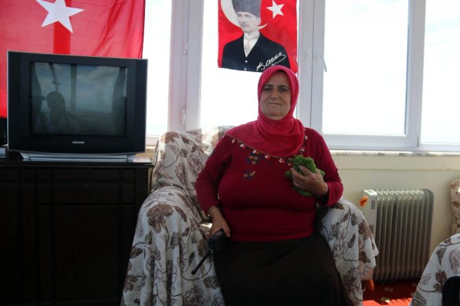 Ormanlar Ayda Teyzeye Emanet