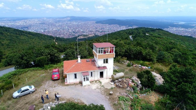 Ormanlar Ayda Teyzeye Emanet