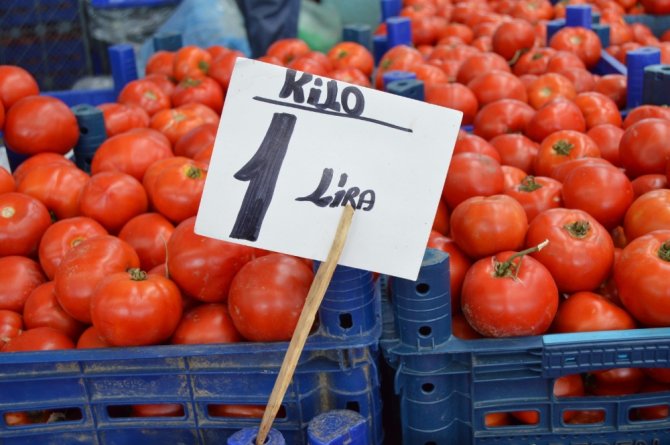 Kilosu 1 Liraya Kadar Düştü