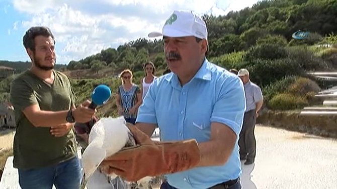 Dolu Felaketinde Yaralanan Martılar Özgürlüğüne Kavuştu