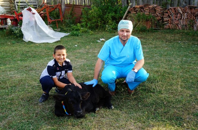 109 Kilo Doğan Buzağı Şaşırttı