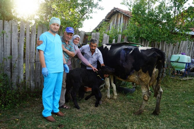 109 Kilo Doğan Buzağı Şaşırttı