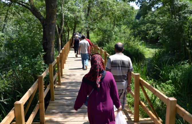 Nilüferler Çiçek Açtı: Ortaya Doyumsuz Manzara Çıktı