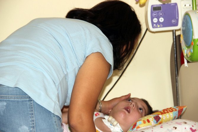 Bir Kabak Çekirdeğiyle Hayatı Karardı