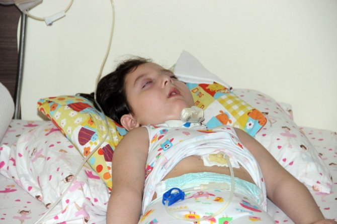 Bir Kabak Çekirdeğiyle Hayatı Karardı