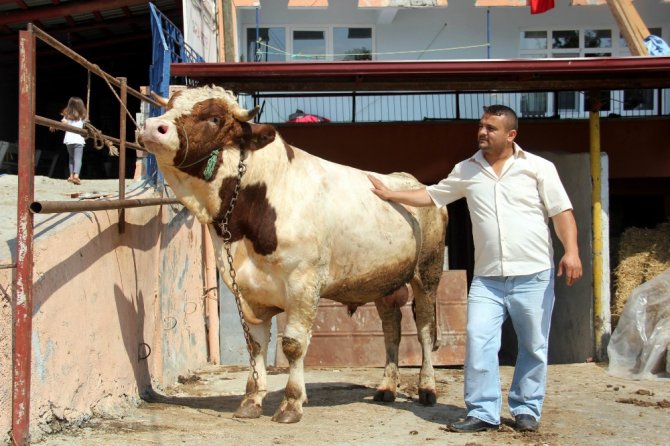 Fiyatı Dudak Uçuklattı