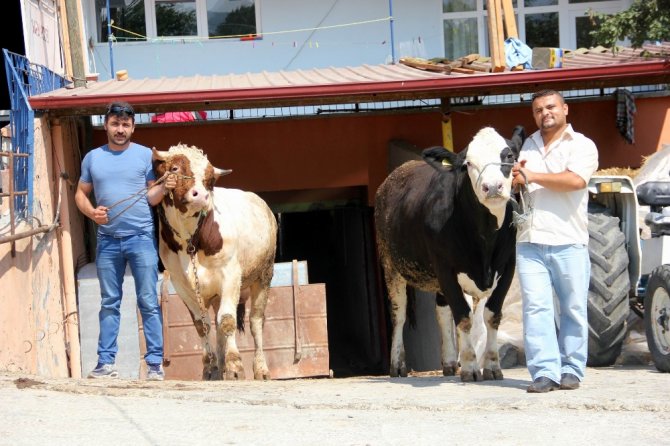 Fiyatı Dudak Uçuklattı