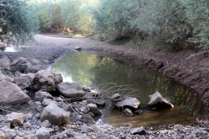 Kızılırmak’ın Bir Kolu Kurudu