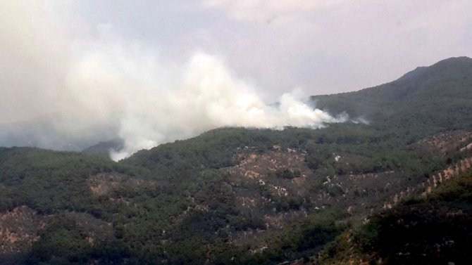 Kazdağları’nda Sabotaj Şüphesi