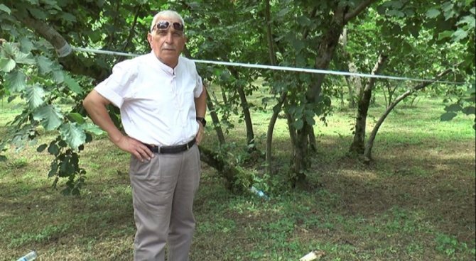 Şahin: "Fındıkta Tek Dal, Maliyeti Düşürürken, Verim Ve Kaliteyi Artırıyor"