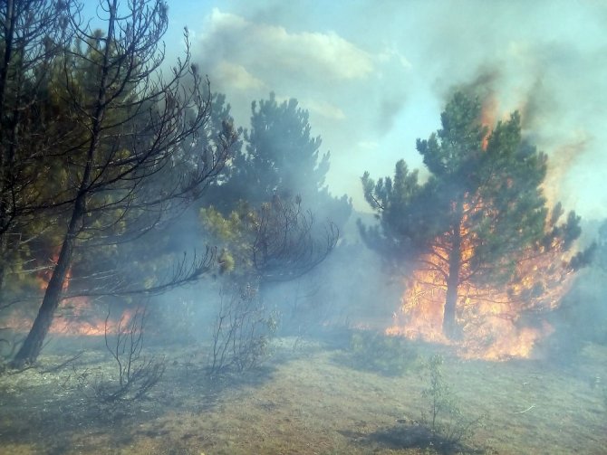 Kastamonu’da Ormanlık Alanda Yangın