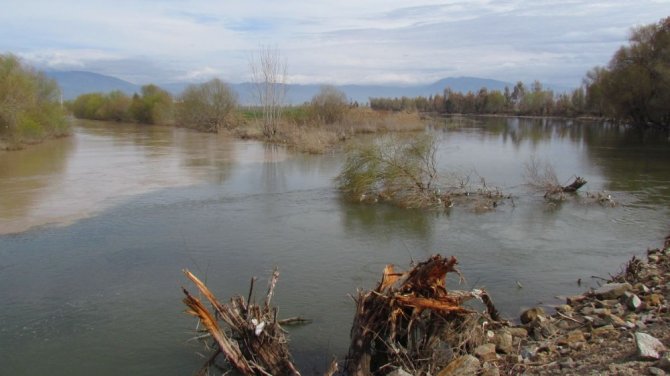 Uzmanlar Büyük Menderes Nehri’ndeki Tehlikeye Dikkat Çektiler