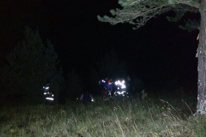 Gümüşhane’de Sığındığı Ağacın Üzerine Yıldırım Düşen Çoban Öldü
