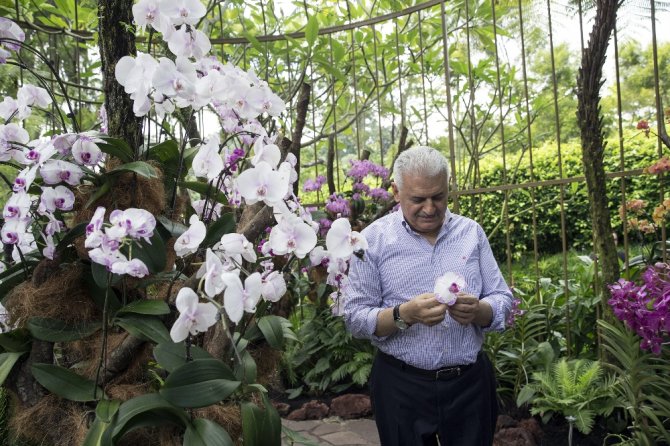 Başbakan Yıldırım, Ulusal Orkide Bahçesini Gezdi