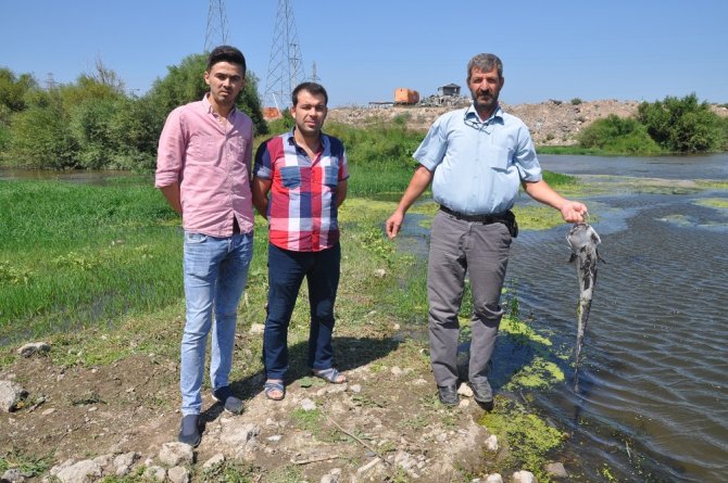 Bursa’da Korkutan Balık Ölümleri
