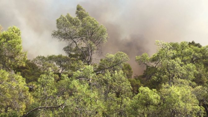 Fethiye’de Orman Yangını