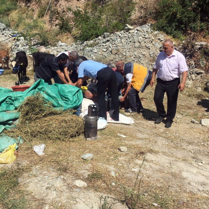 Kurbanlık Boğa Sahibini Yaraladı