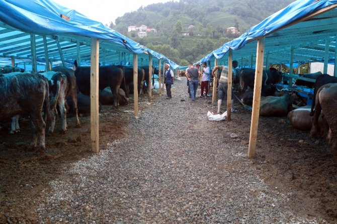 Rize’de Bir Tonluk 