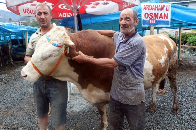Rize’de Bir Tonluk 