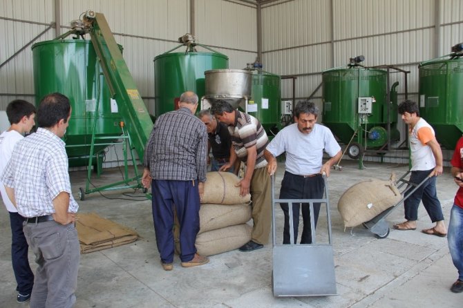 Yağmur, Fındık Kurutma Makinelerine Talebi Arttırdı