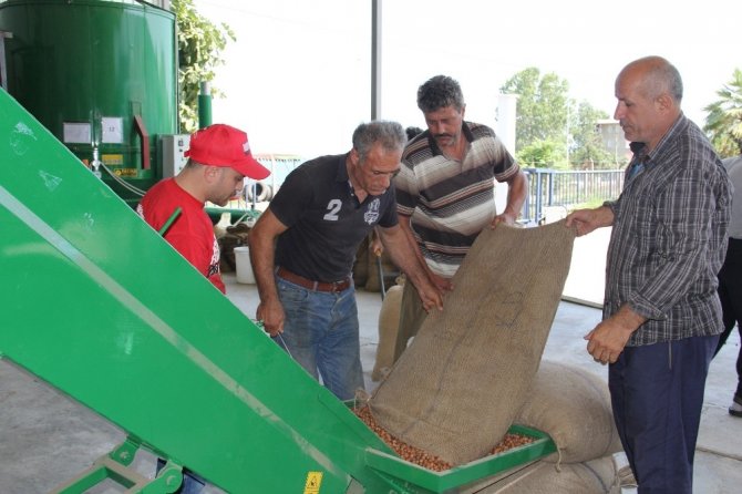 Yağmur, Fındık Kurutma Makinelerine Talebi Arttırdı