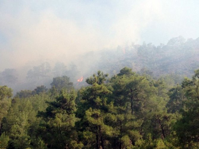 Antalya’da Orman Yangını