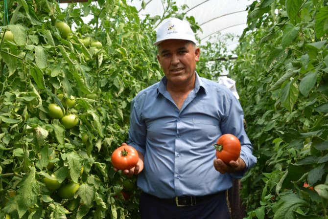 Katar’a İhracı Başladı