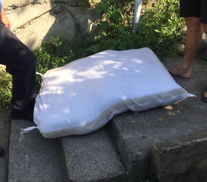 Zonguldak’ta Ele Geçirildi: Tam 480 Kilo!
