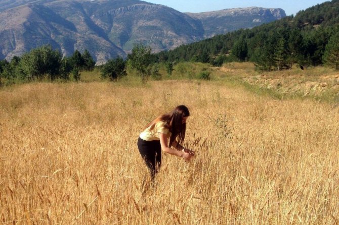 Bu Köyde Kuşlar Aç Kalmadı
