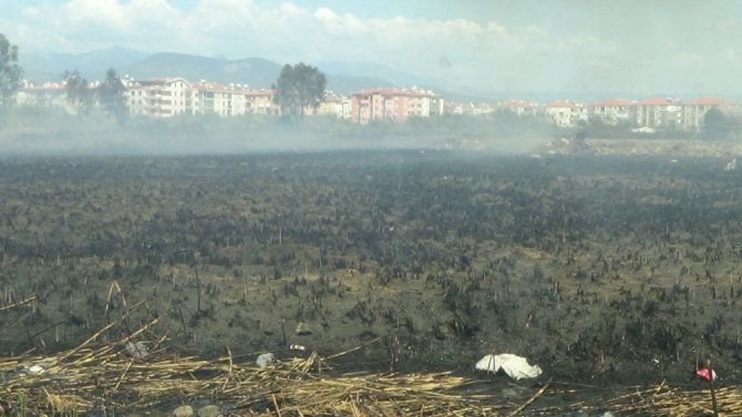 Kuşların Göç Noktası Yanıyor