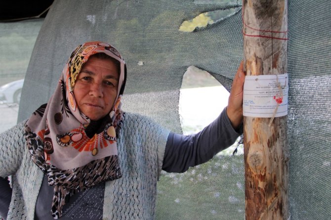 Yayla Evi Sahiplerine Atlı, Tüfekli Destek