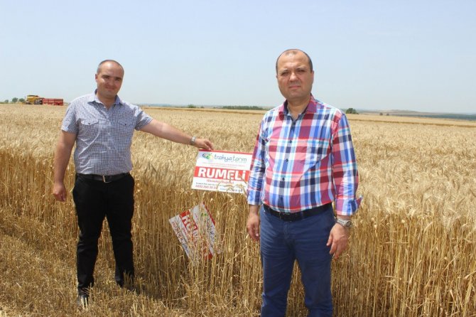 Milli Tohum ‘Rumeli’ye Talep Bu Yıl Da Yüksek