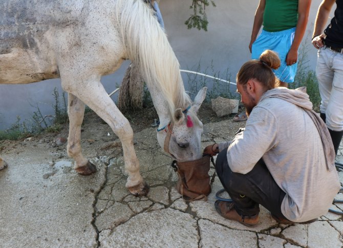9 Aydır At Sırtında