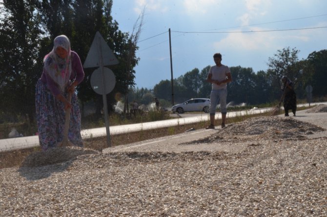 Otoyolda Kurutup Dünyanın Dört Bir Yanına İhraç Ediyorlar